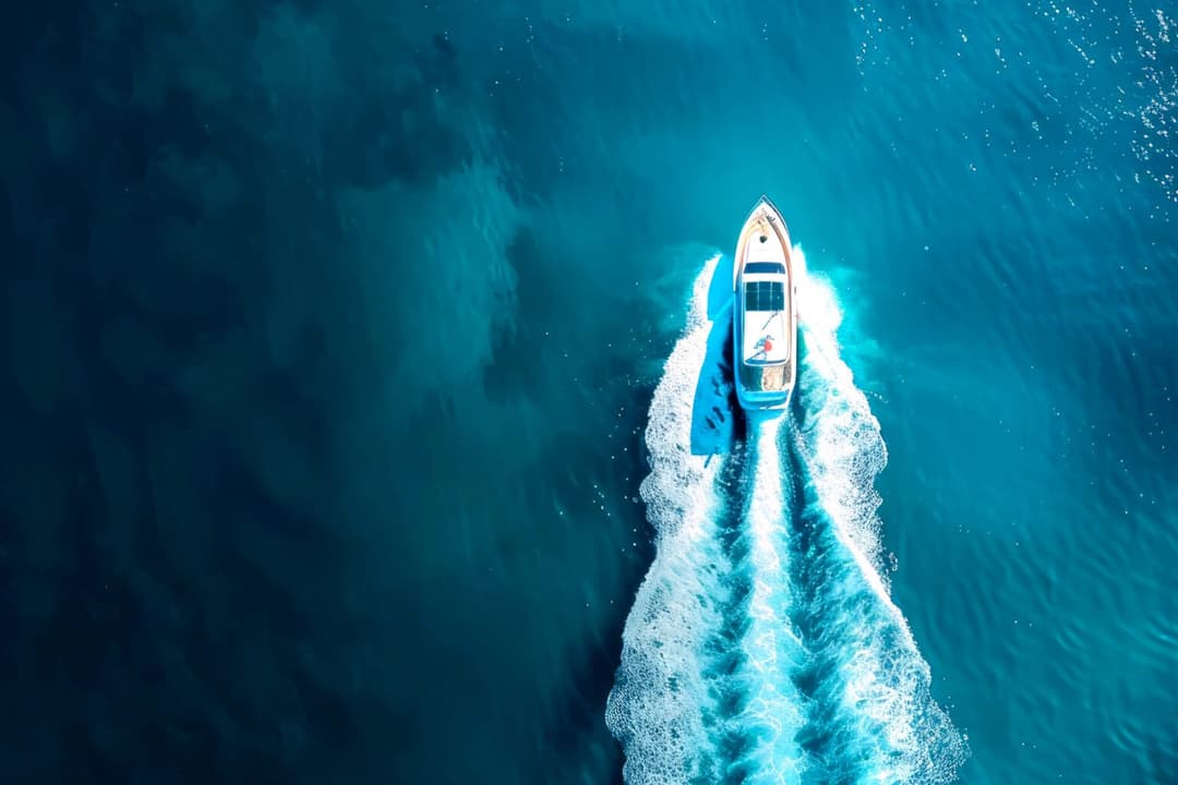 Marina with luxury yachts